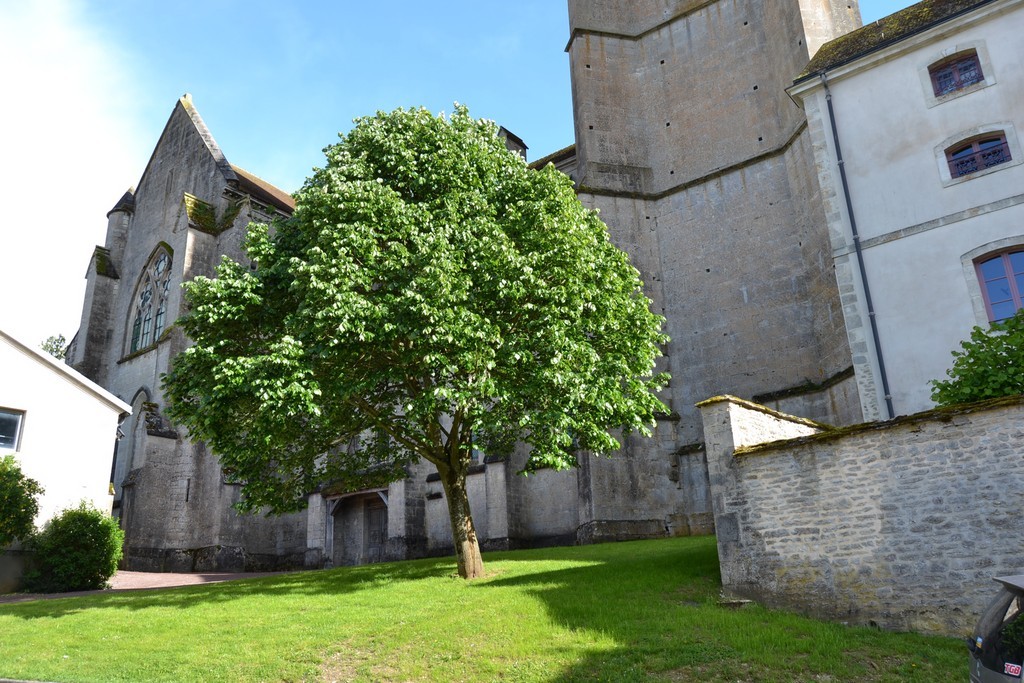 Ste-Seine-L'Abbaye 3