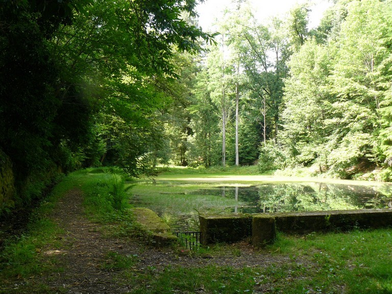 Arboretum de La Jonchère