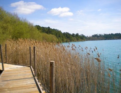 Lac d'Arjuzanx