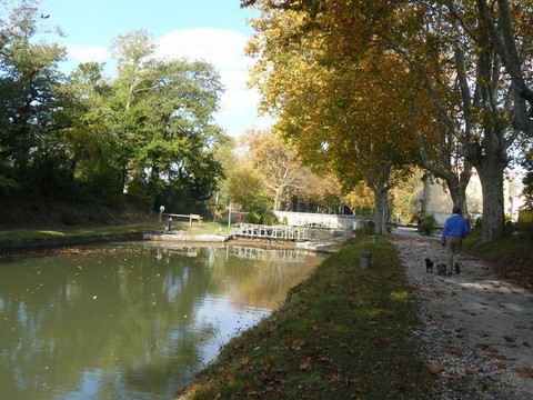 Canal du Midi, Pierre-Paul Riquet